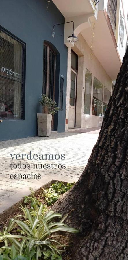 Alojate Mendoza - Departamento "Josefa" Terraza Y Parrilla Lejlighed Eksteriør billede