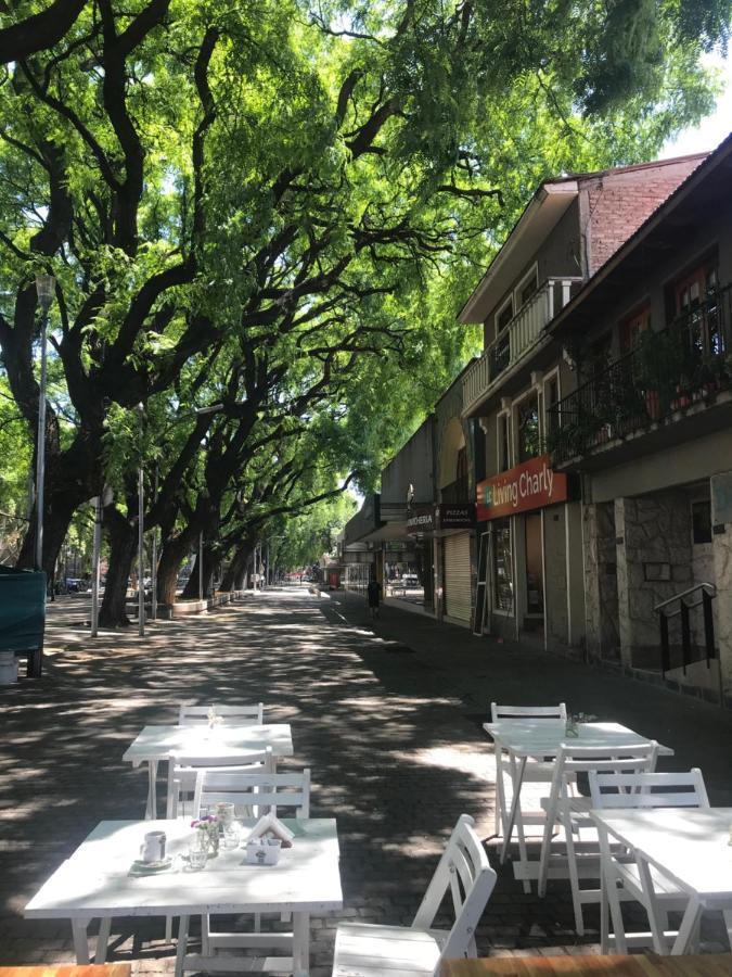 Alojate Mendoza - Departamento "Josefa" Terraza Y Parrilla Lejlighed Eksteriør billede